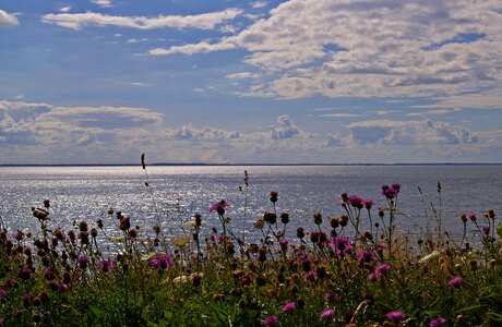 Fyns hoved baltic sea danish baltic photo