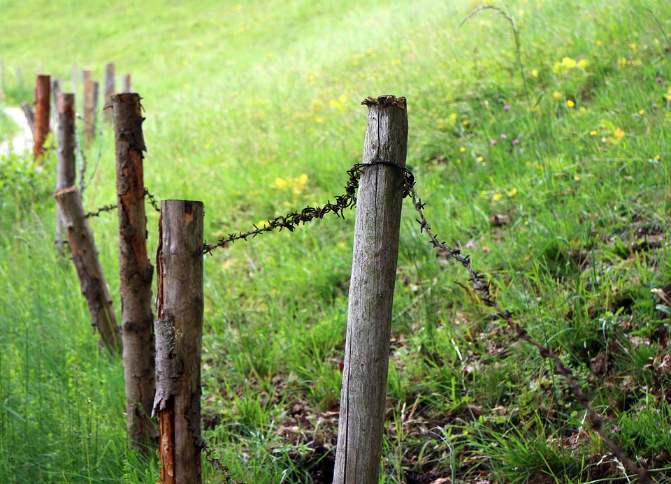 Barbed wire wiring limit photo