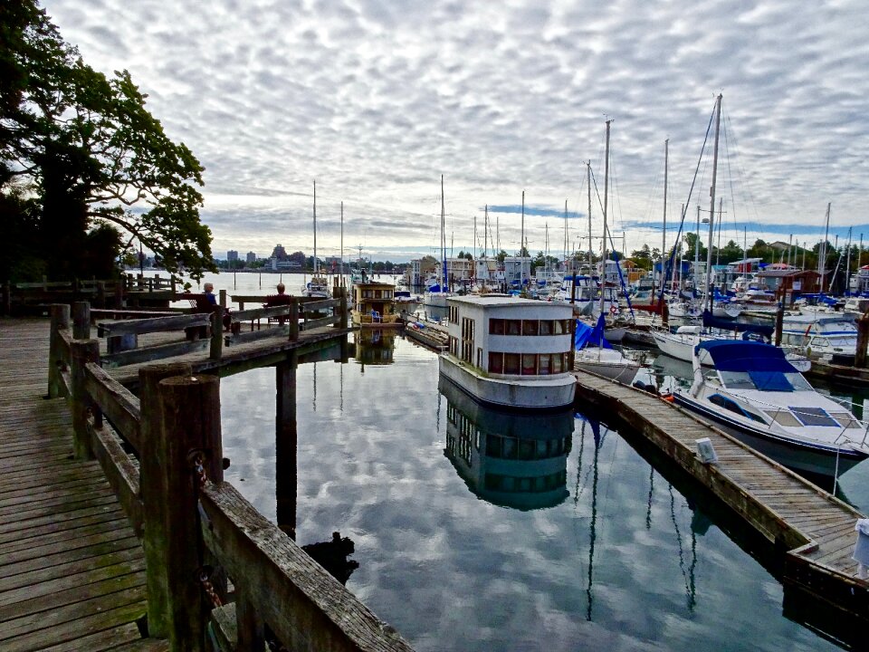 Marina boats yachts