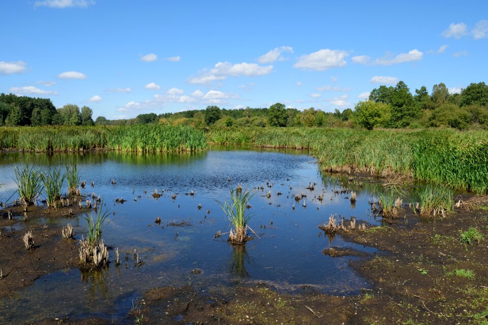 Water sky landscape