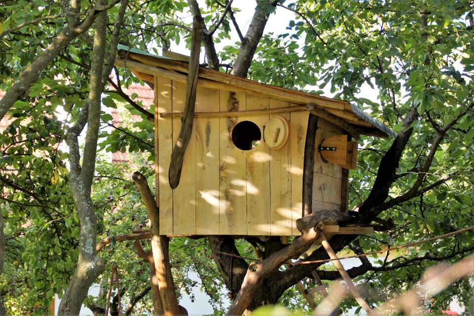 The house in the trees adventure child's play