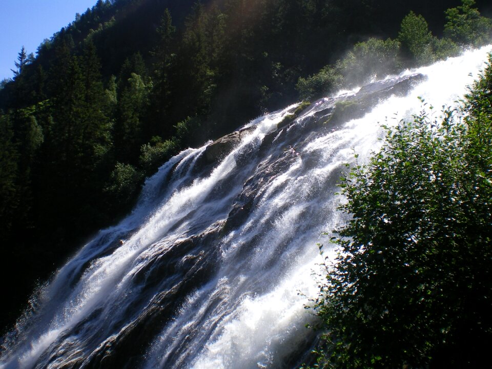 Nature austria alpine