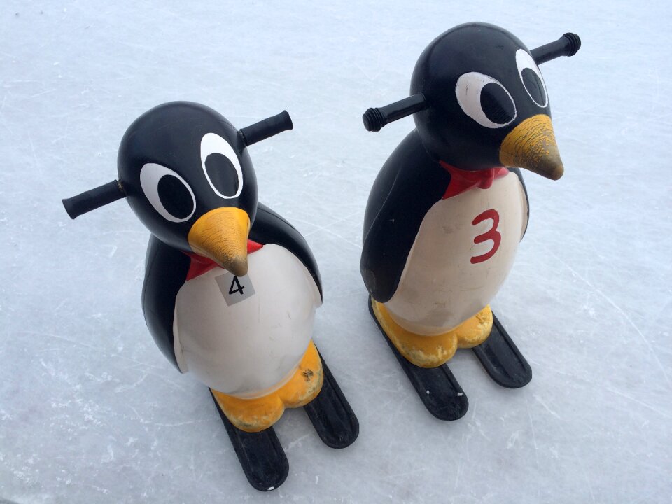 Penguin ice skating twins