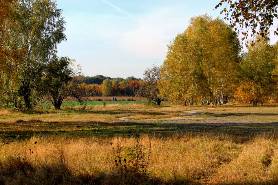 Fall foliage fall color autumn mood