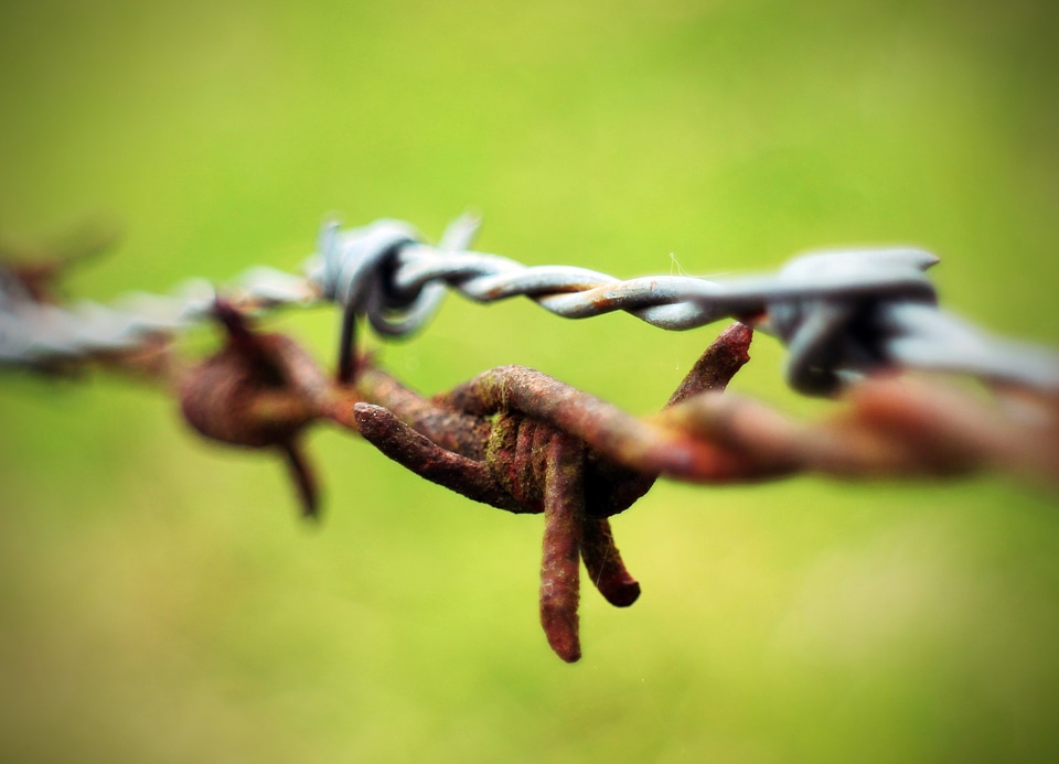 Limit demarcation fence