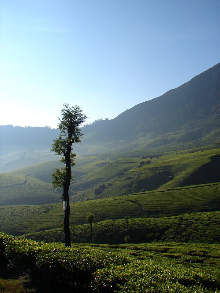 Asia landscape kerala