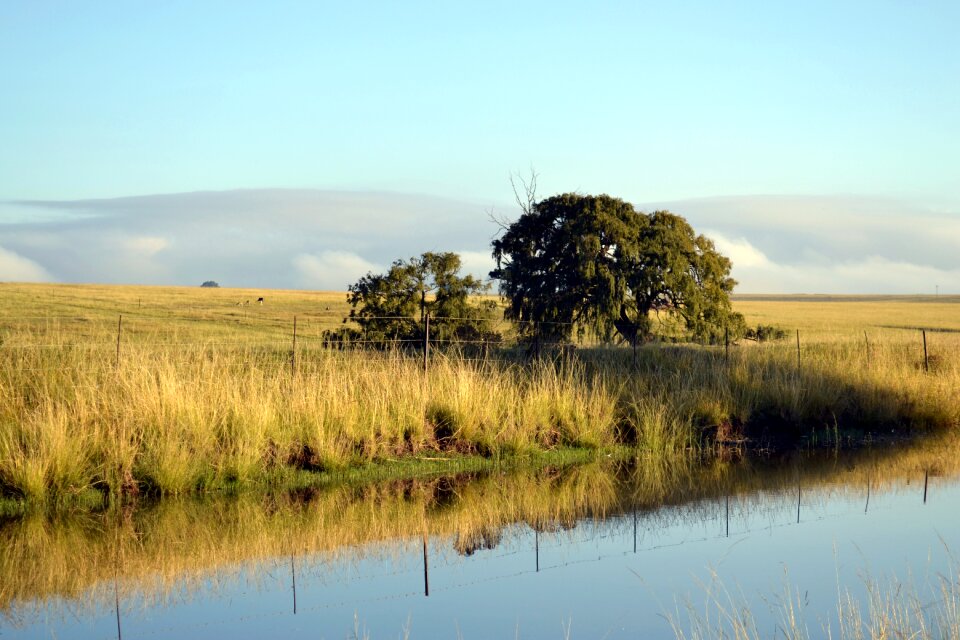 Landscape environment