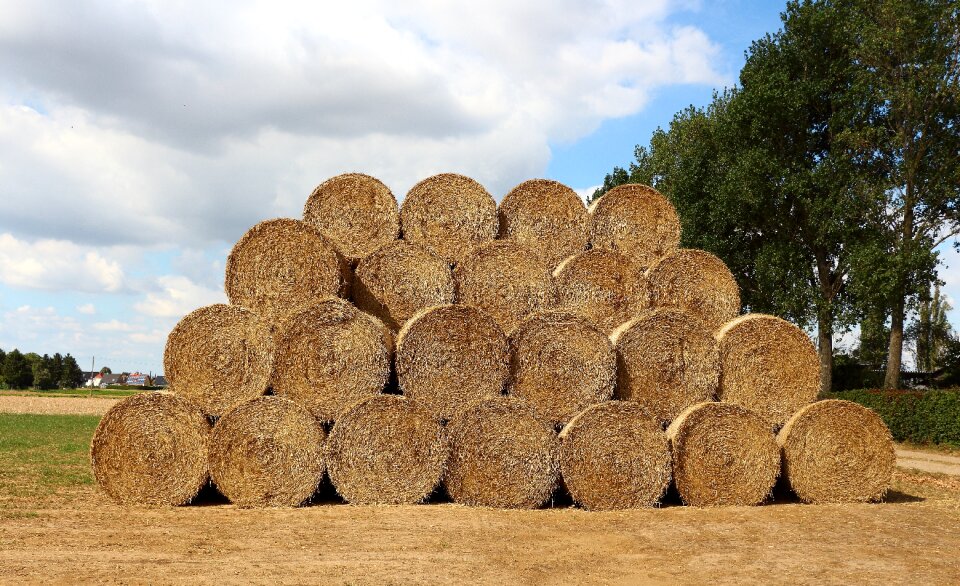 Stubble round bales summer
