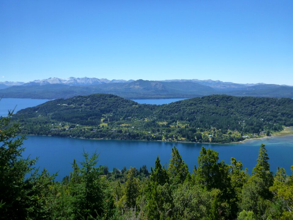 Trees lakes district