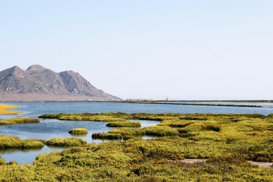 Nature almeria spain photo