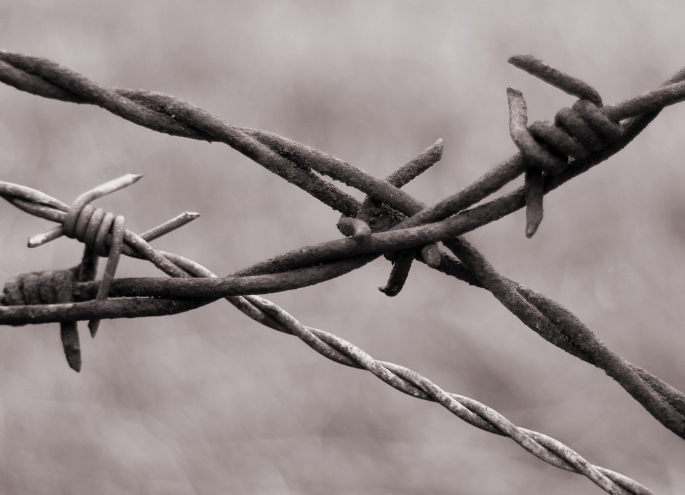 Limit demarcation fence