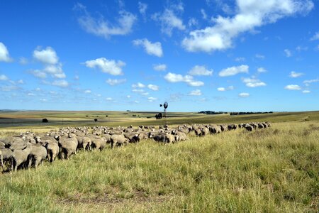 Agricultural farming