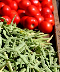Food vegetable fresh
