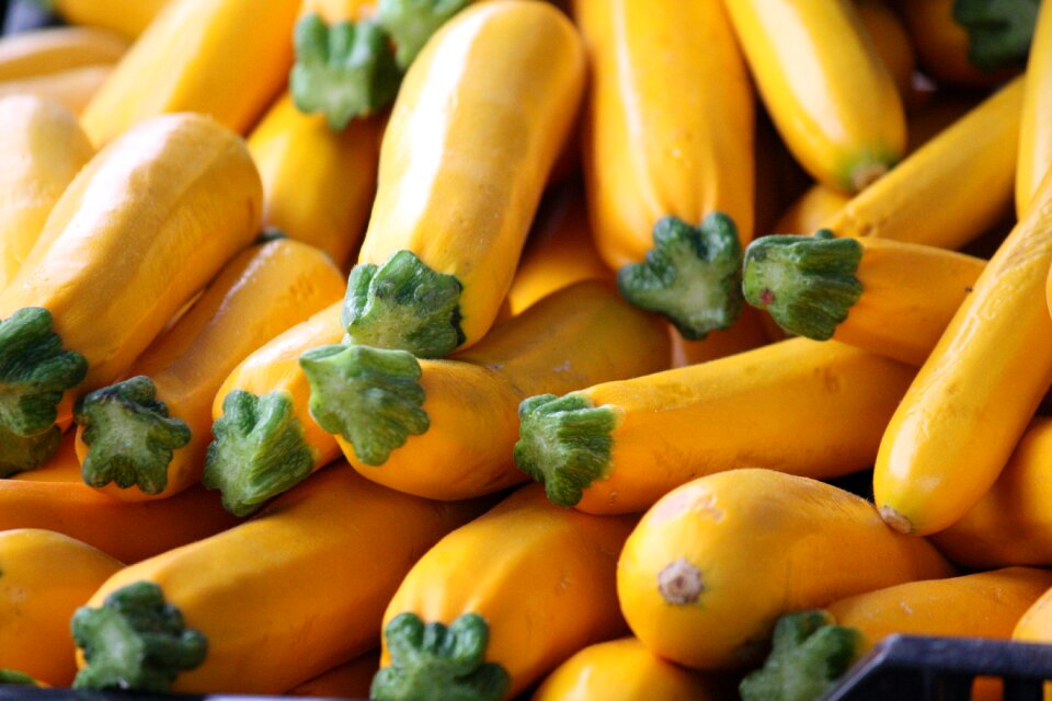 Yellow squash vegetables