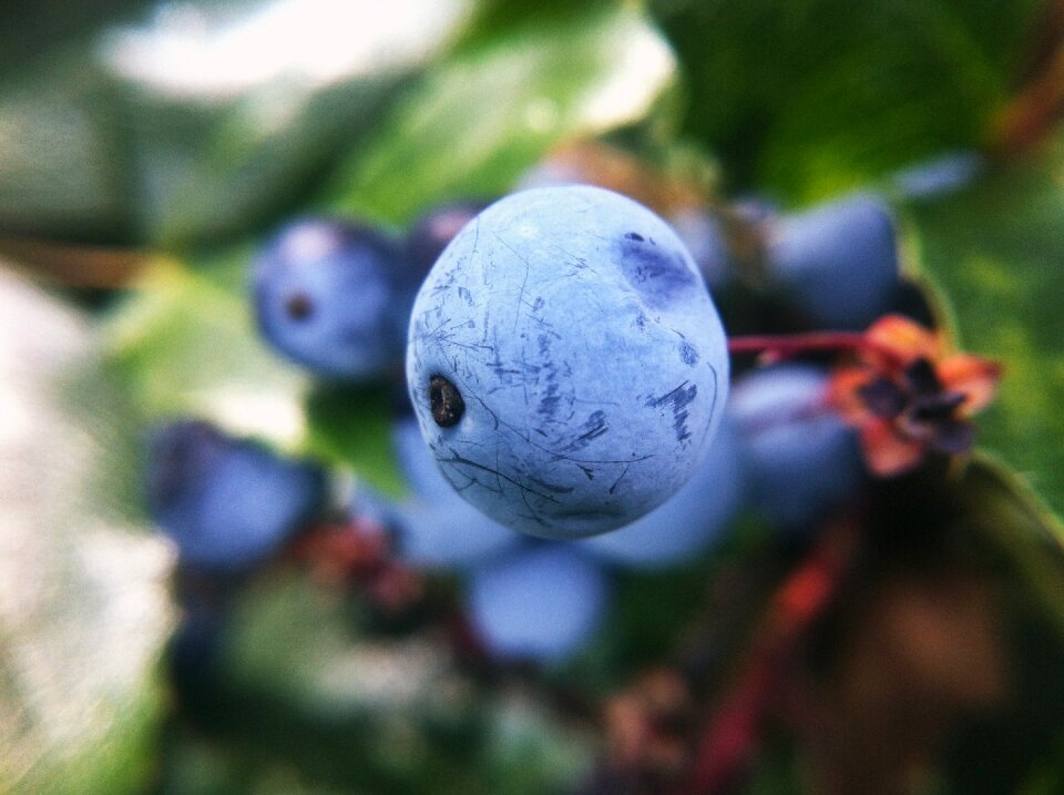 Outdoor environmental macro