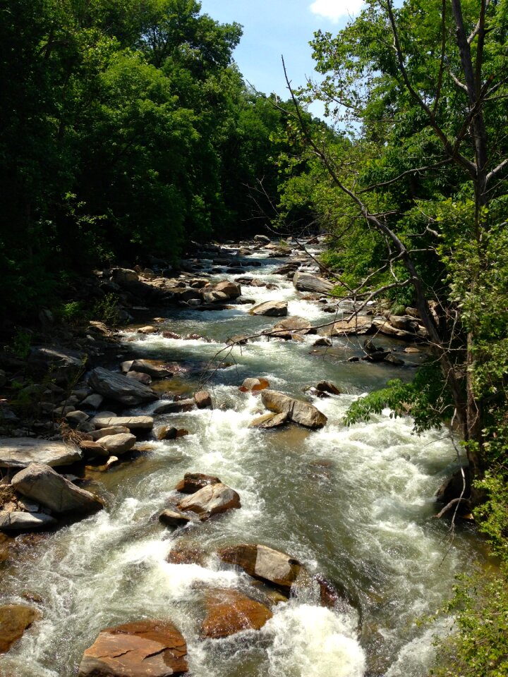 Rapids north carolina photo