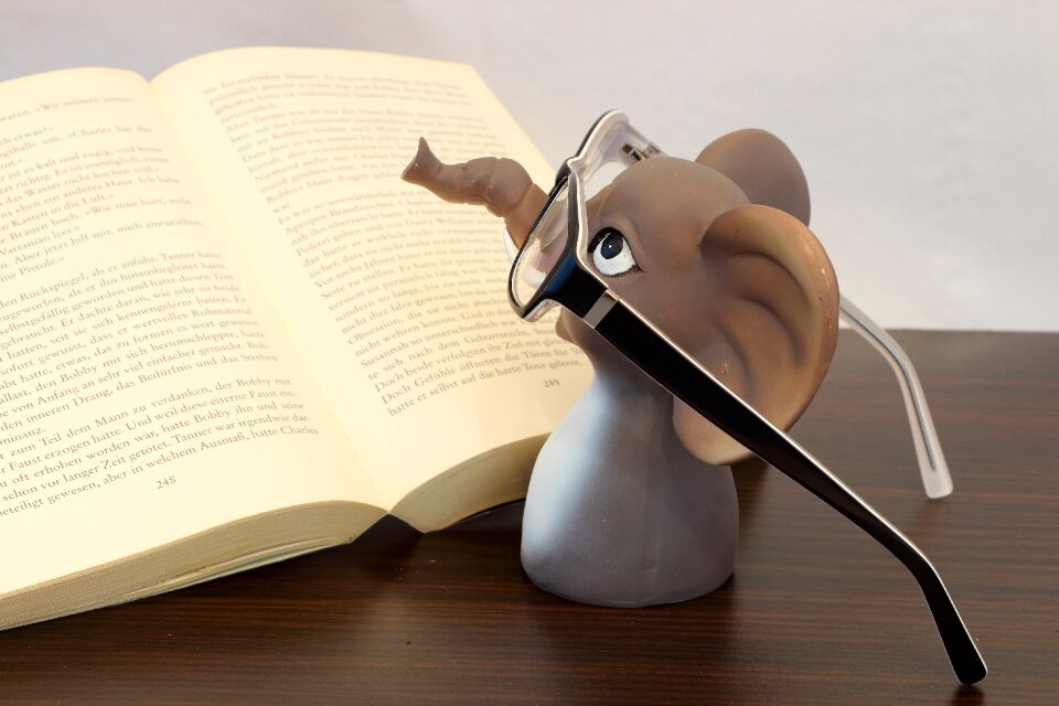 Read reading glasses book goggles