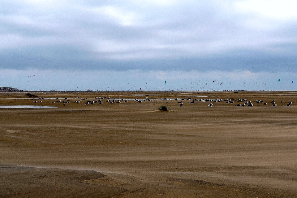 Wadden sea ebb beach
