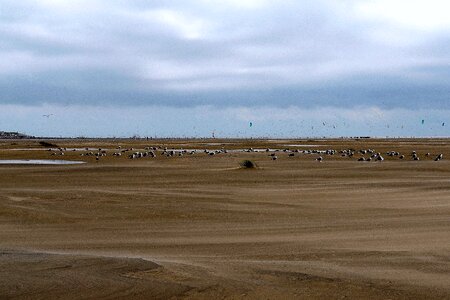 Wadden sea ebb beach