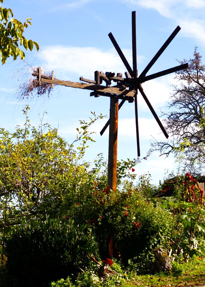 Scarecrow vineyard wine