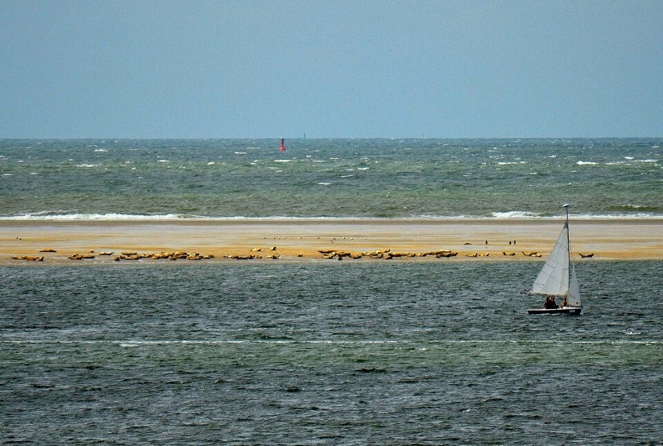 Crawl north sea boat