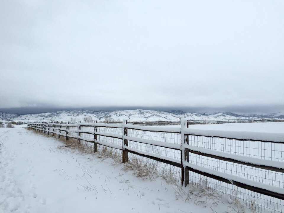 Cold frost white
