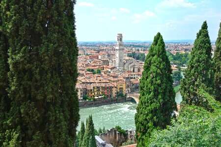 Castel san pietro poplars adige photo