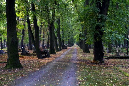 It went down the list tombstone the path photo