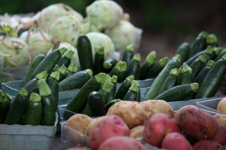 Food healthy diet