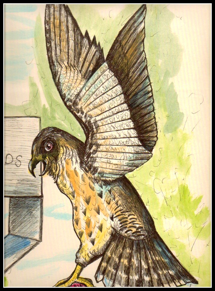 Wild nature beak