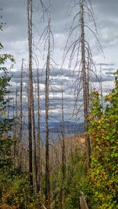 Okanagan lake