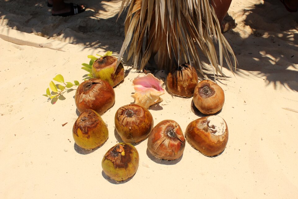Coconut water sand