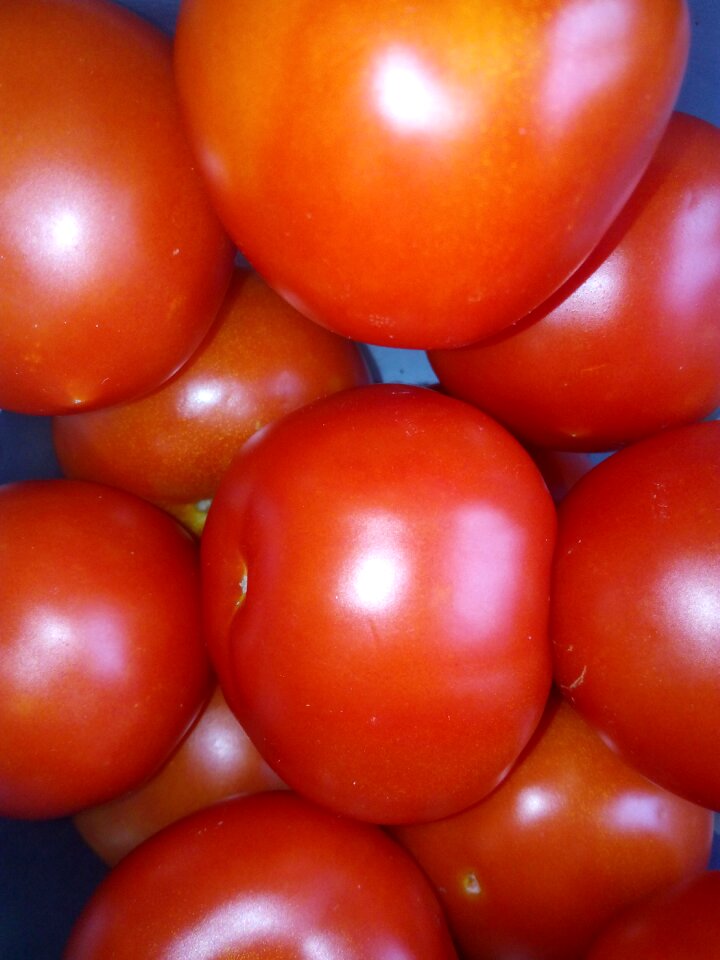 Tomatoes vegetables vegetable
