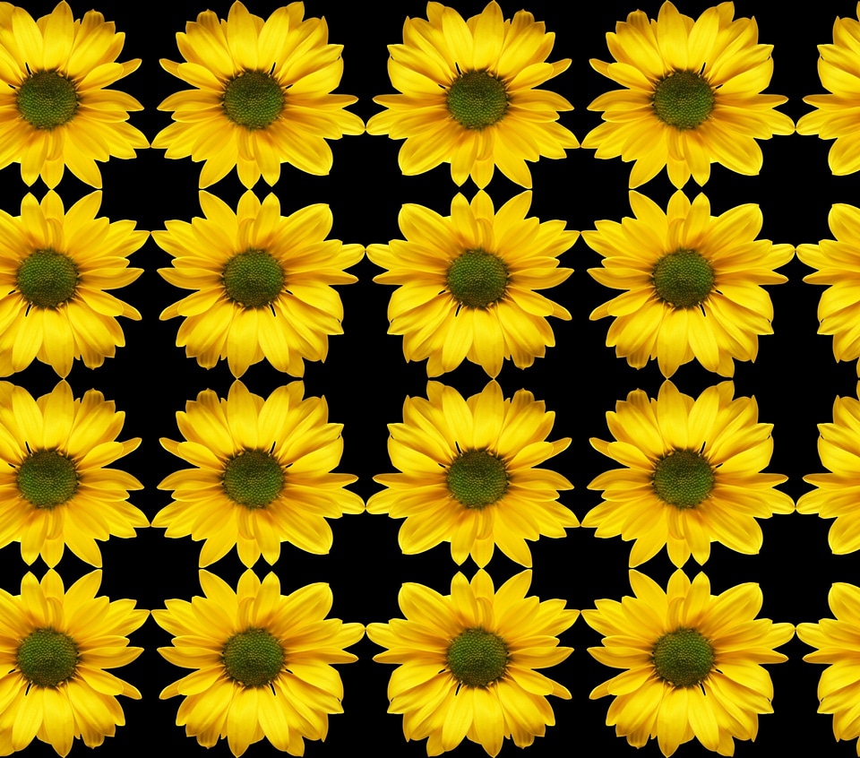 Computer symmetry digital