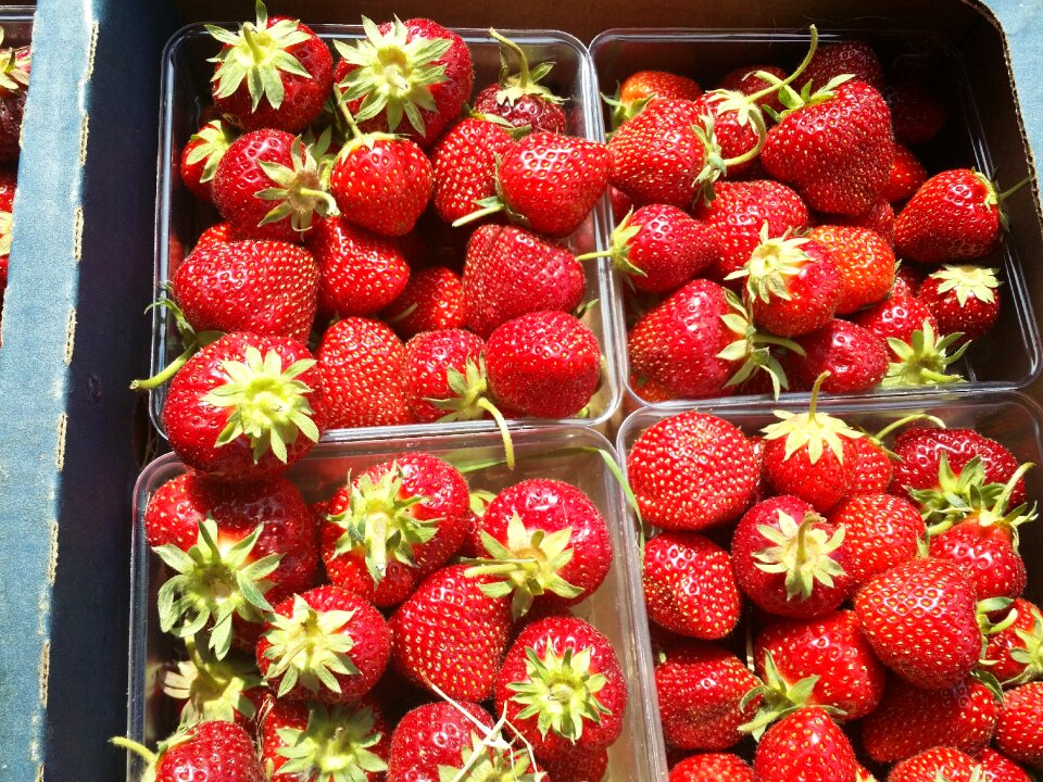 Fruit juicy natural