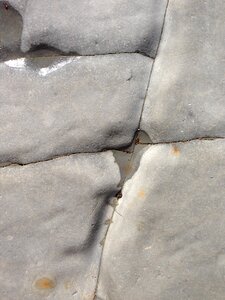 Stone nature coast