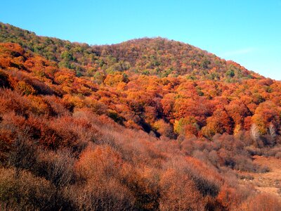 Sky nature fall