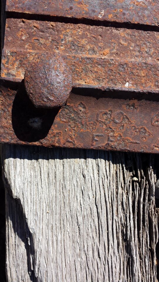 Wood closeup