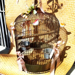 Symbol metaphor liberty