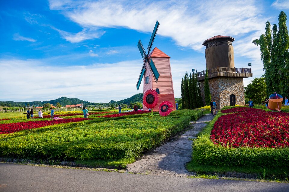 Silverlake vineyards pattaya city vineyard