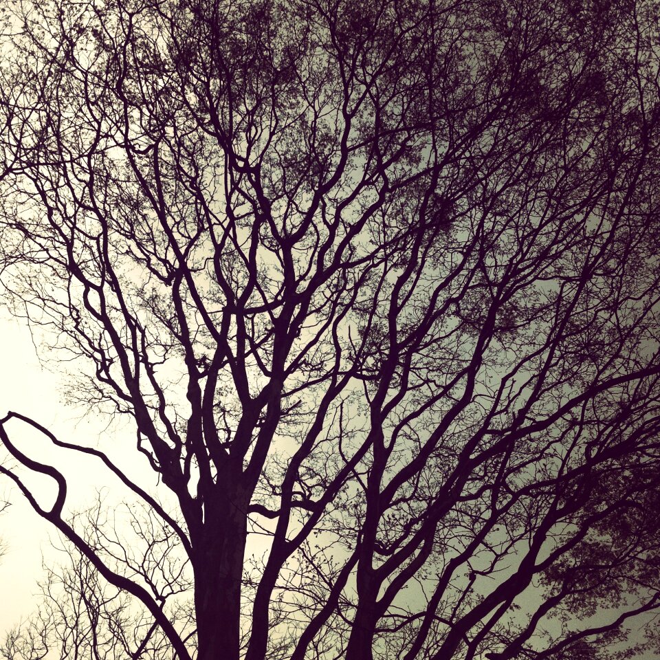 Nature landscape natural