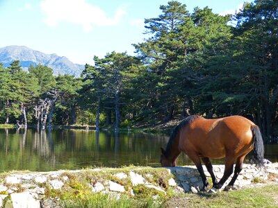 Bassa d'oles val d'aran lake