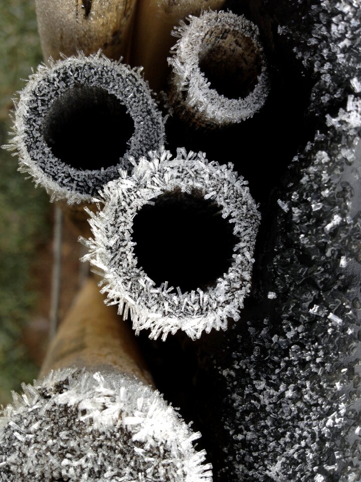 Frost cold winter