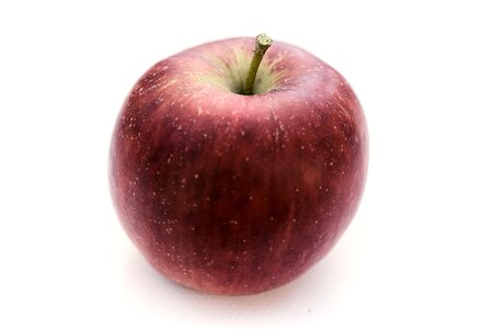 Fruit autumn fetus