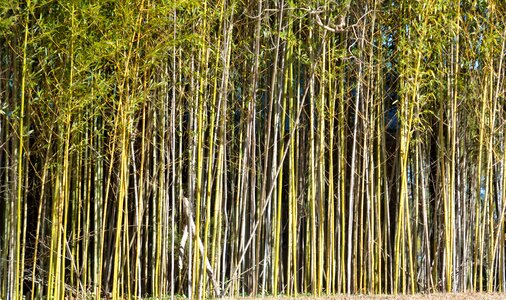 Outdoors landscape asian