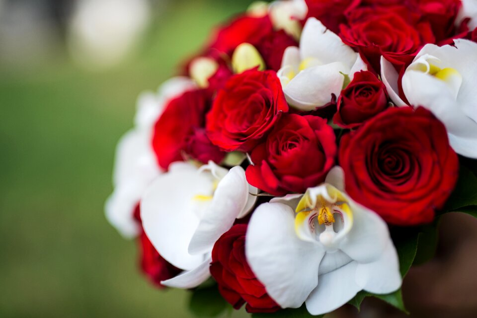 Red bouquet summer