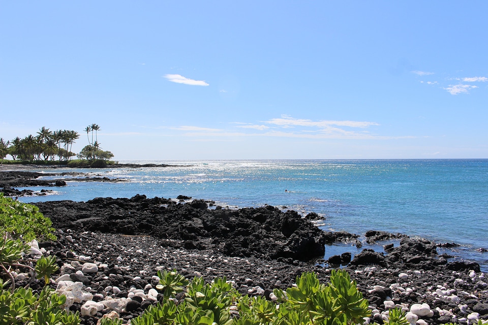 Coast rocky beach sea