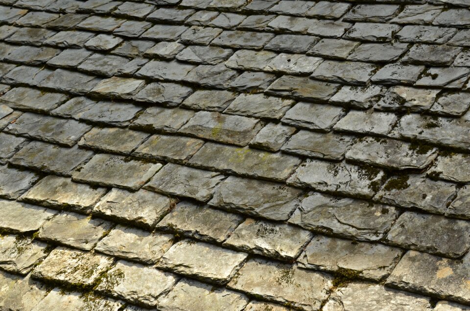 Roof roof tile roofing