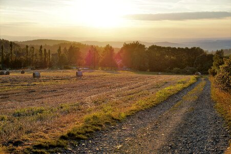 Field trip summer sunset