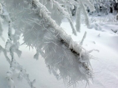 Frost snow cold